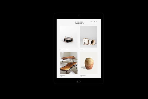 平面設(shè)計(jì)與自然室內(nèi)設(shè)計(jì)產(chǎn)品的品牌形象構(gòu)建 以BSWL為例