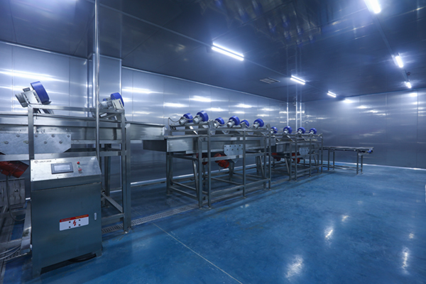 食品廠房?jī)艋囬g 從布局規(guī)劃、建設(shè)到維保的全方位指南